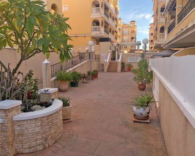 Langzeitvermietung - Appartement - Alicante - Algorfa